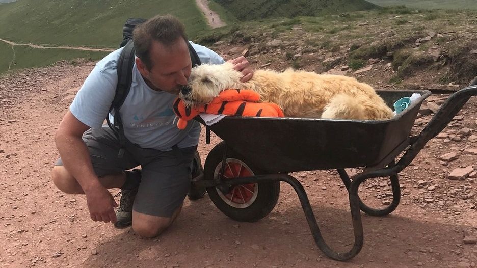 Muž vzal milovaného umírajícího psa na kolečku na poslední výšlap